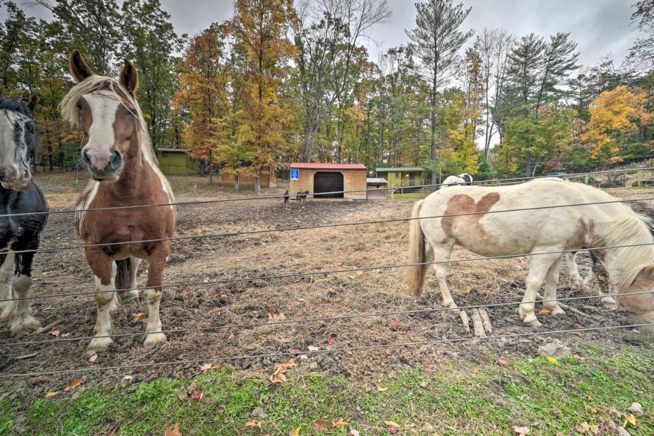 John Wayne Apartment - Deck, Bbq, Horses On-Site Huntingdon Buitenkant foto