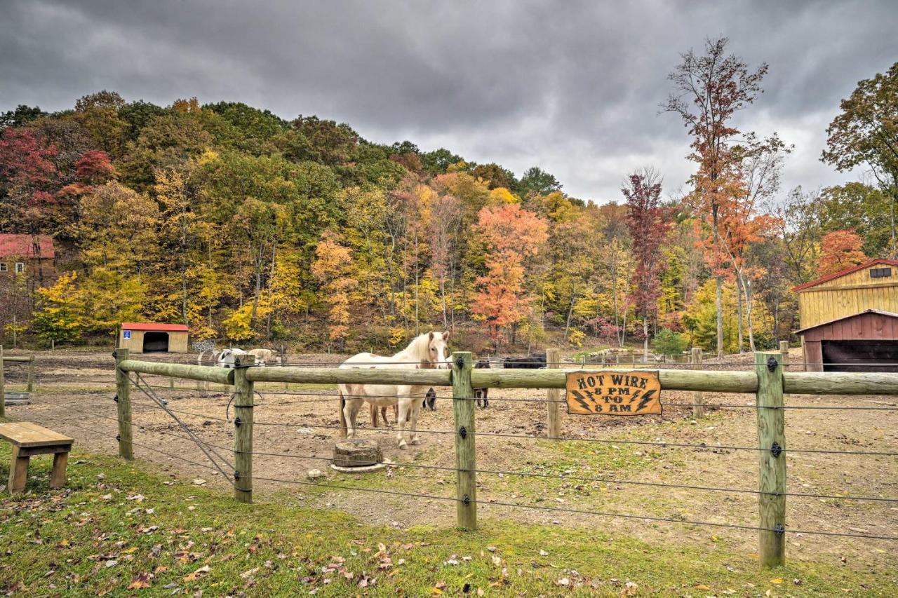 John Wayne Apartment - Deck, Bbq, Horses On-Site Huntingdon Buitenkant foto