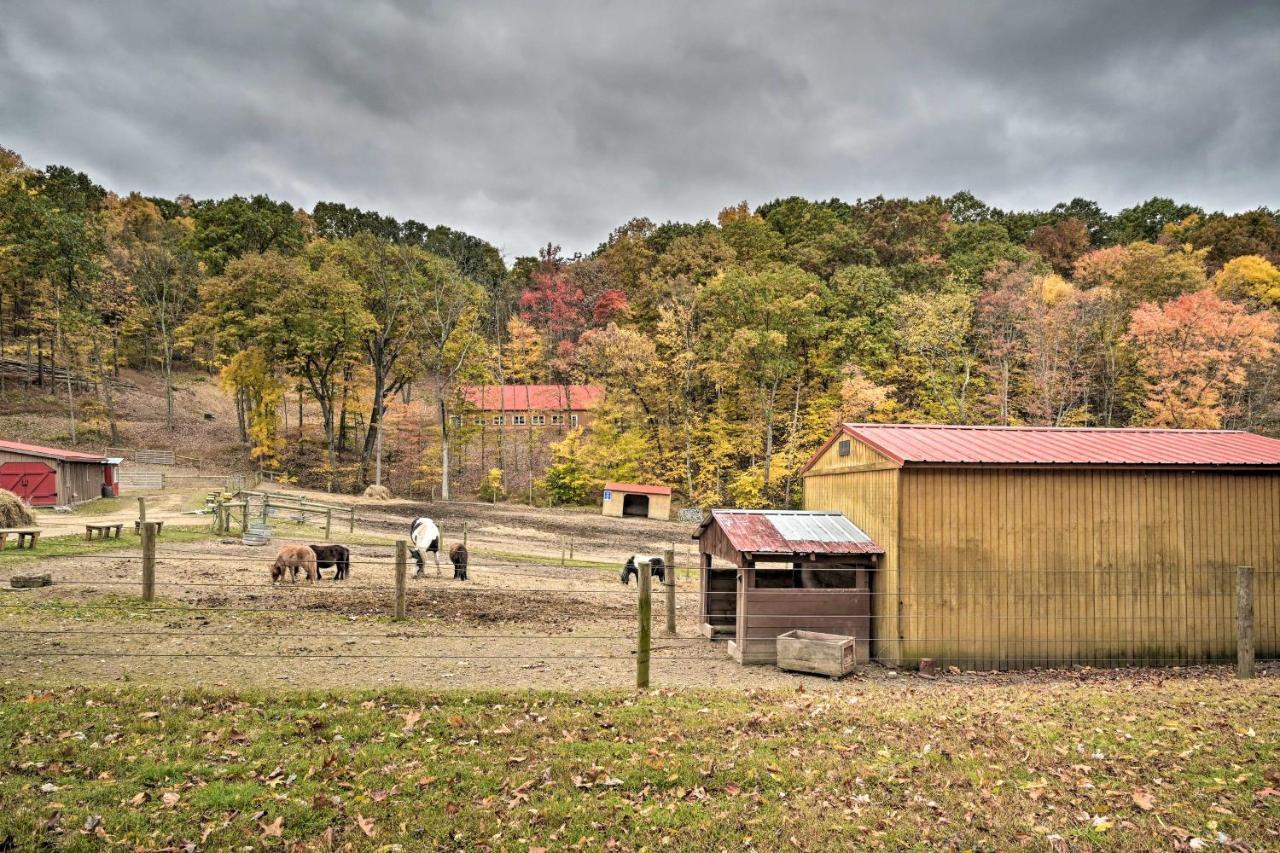 John Wayne Apartment - Deck, Bbq, Horses On-Site Huntingdon Buitenkant foto